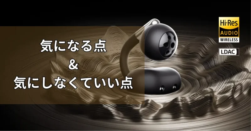 気になる点と気にならない点の画像